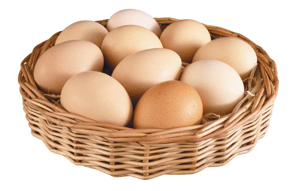 Telur Ayam Ras